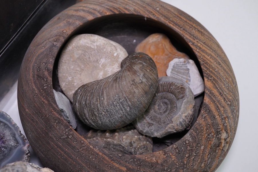 A collection of specimen stones and fossils to include amethyst, quartz and obsidian. Condition - fair to good